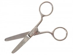 Faithfull Pocket Scissors 100mm (4in)