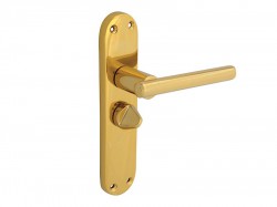 Forge Backplate Handle Privacy - Modular Brass Finish