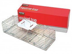 Cage Traps