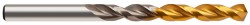 Osborn HSS-E Goldex Jobber WP 12.1mm Pack of 5